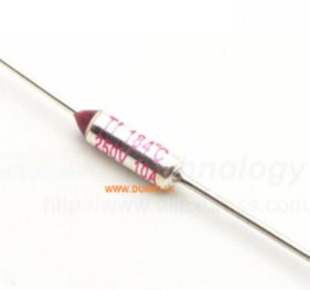 RC Terminal Fuse 10A