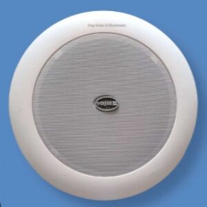 Ceiling peaker V-105